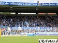 1860-BVB-036_1