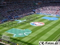 Frankreich-Irland-058_1