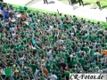Frankreich-Irland-081_1