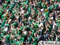 Frankreich-Irland-092_1