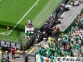 Frankreich-Irland-100_1
