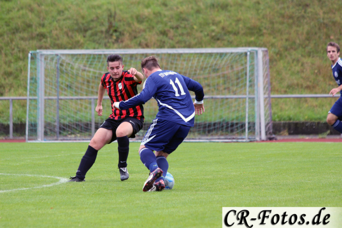 Hemmingen-Hoefingen04-10-15-(56)