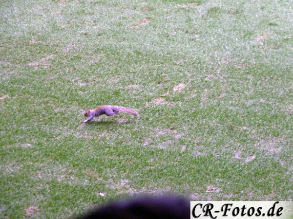 thumb_P1180703_1024_1