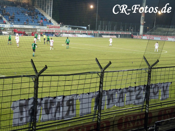 vfb2-scp-095