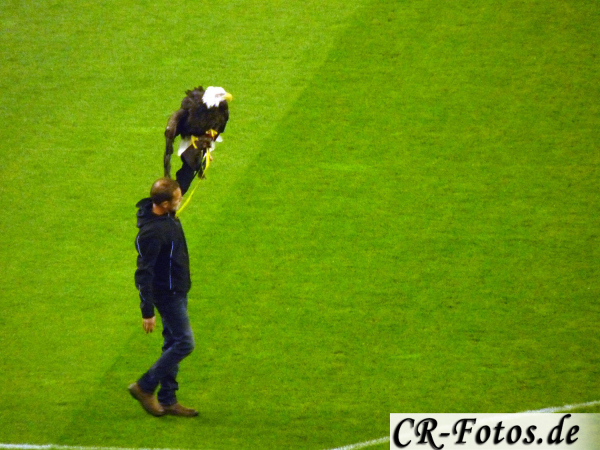 Arnhem-DenHaag03.10-(23)