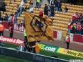 Wolves-Rotherham (19)