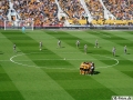 Wolves-Rotherham (35)