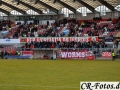 DSC_7527.jpg