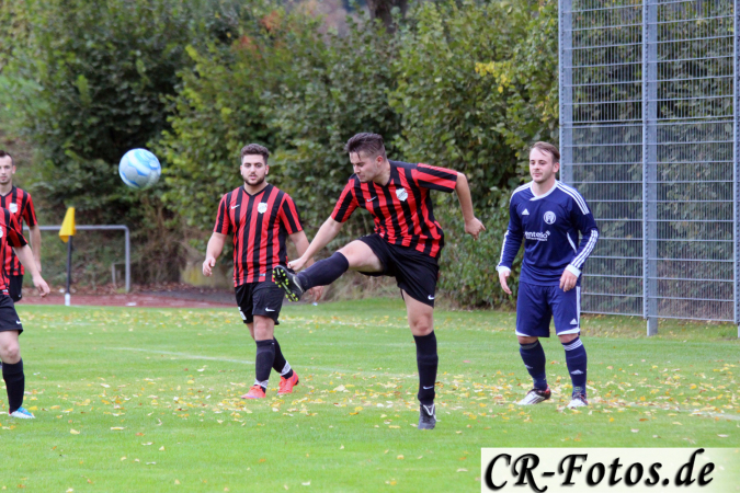 Hemmingen-Hoefingen04-10-15-(113)