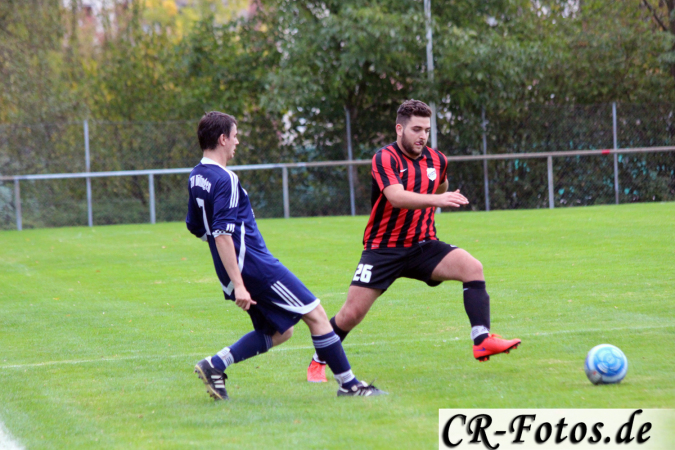 Hemmingen-Hoefingen04-10-15-(114)