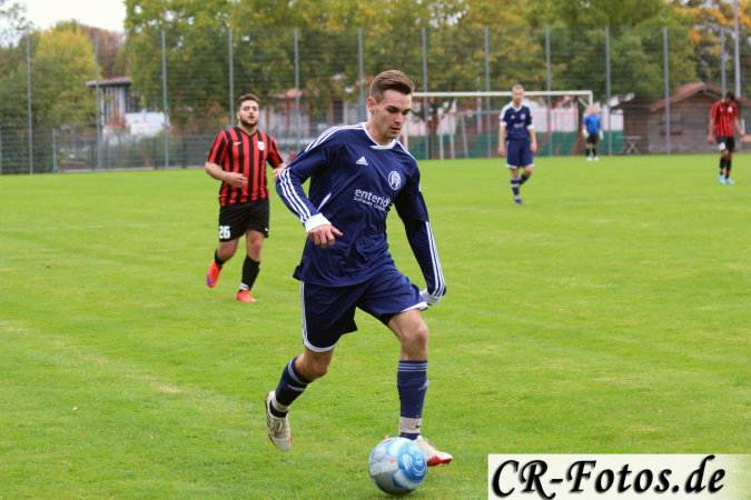 Hemmingen-Hoefingen04-10-15-(116)