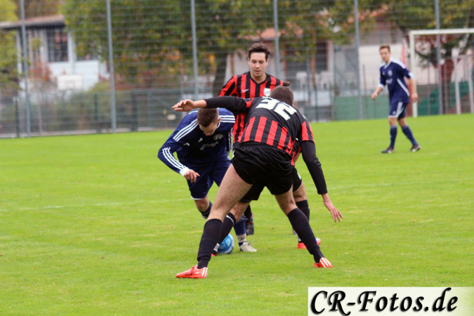Hemmingen-Hoefingen04-10-15-(123)
