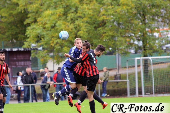Hemmingen-Hoefingen04-10-15-(161)
