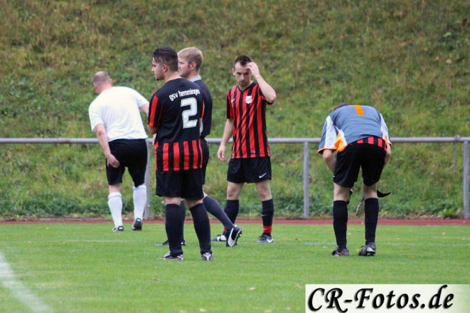 Hemmingen-Hoefingen04-10-15-(187)