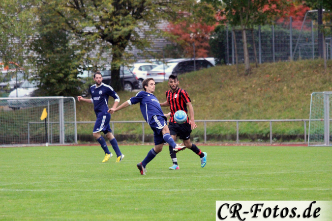 Hemmingen-Hoefingen04-10-15-(209)
