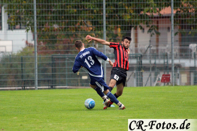 Hemmingen-Hoefingen04-10-15-(213)