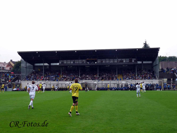 1860-bvb-219