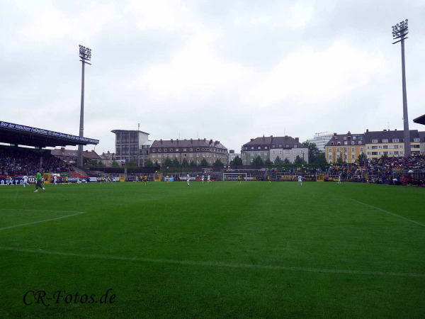 1860-bvb-240