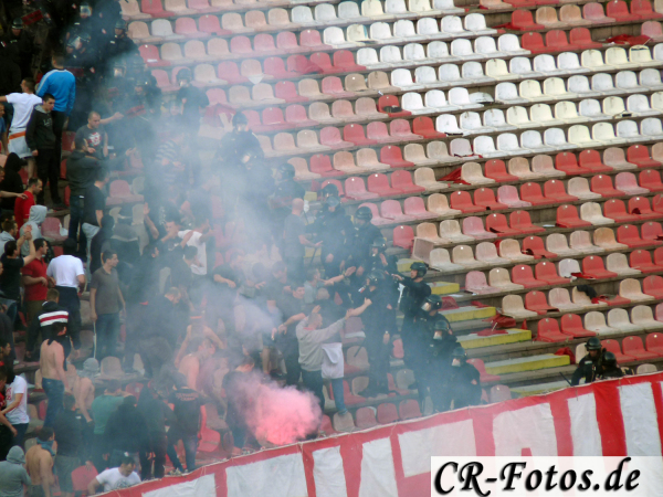 Belgrad2015-262.jpg
