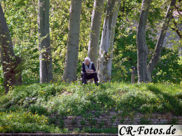 Belgrad2015-463.jpg