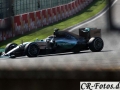 Formel1-SPA-(298)