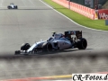 Formel1-SPA-(321)