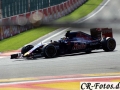 Formel1-SPA-(875)