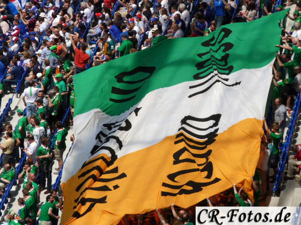 Frankreich-Irland-043_1