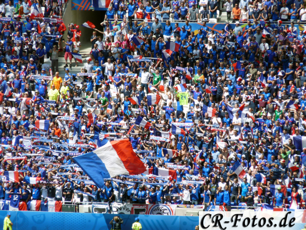 Frankreich-Irland-085_1