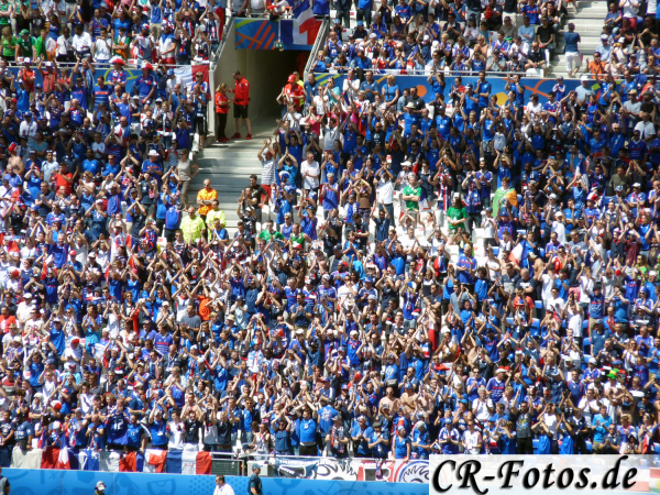 Frankreich-Irland-091_1