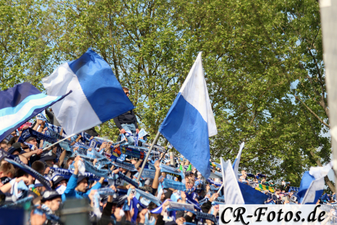 fsvfrankfurt-1860-289