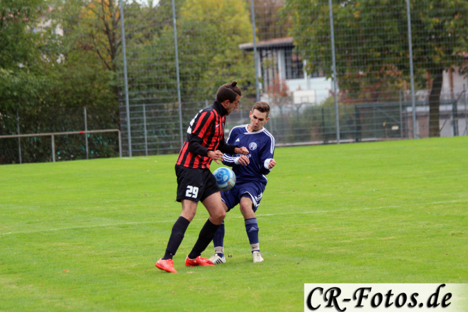 Hemmingen-Hoefingen04-10-15-(119)