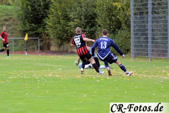 Hemmingen-Hoefingen04-10-15-(157)