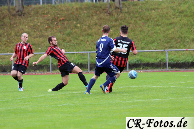 Hemmingen-Hoefingen04-10-15-(20)