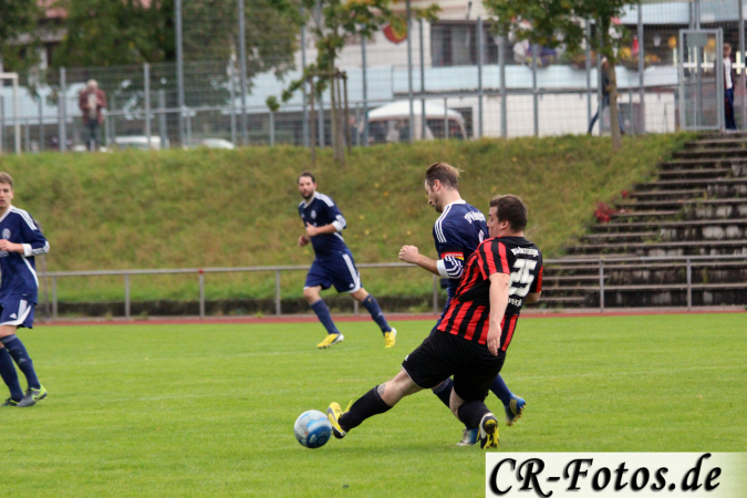 Hemmingen-Hoefingen04-10-15-(200)
