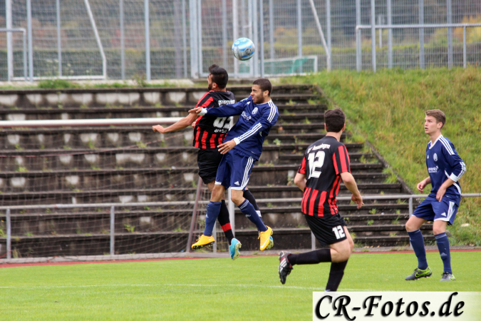 Hemmingen-Hoefingen04-10-15-(46)