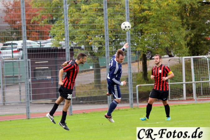 Hemmingen-Hoefingen04-10-15-(83)