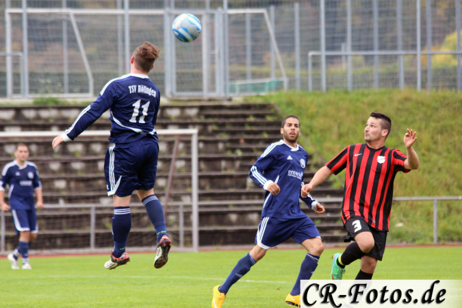 Hemmingen-Hoefingen04-10-15-(88)