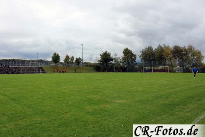 Hemmingen-Hoefingen04-10-15-(94)