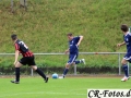 Hemmingen-Hoefingen04-10-15-(10)