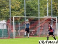 Hemmingen-Hoefingen04-10-15-(12)