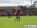 Hemmingen-Hoefingen04-10-15-(15)