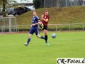 Hemmingen-Hoefingen04-10-15-(16)