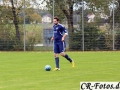 Hemmingen-Hoefingen04-10-15-(18)