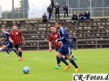 Hemmingen-Hoefingen04-10-15-(25)