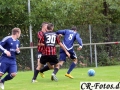 Hemmingen-Hoefingen04-10-15-(29)