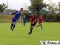 Hemmingen-Hoefingen04-10-15-(39)
