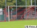 Hemmingen-Hoefingen04-10-15-(45)