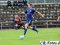 Hemmingen-Hoefingen04-10-15-(54)