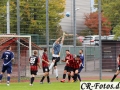 Hemmingen-Hoefingen04-10-15-(60)